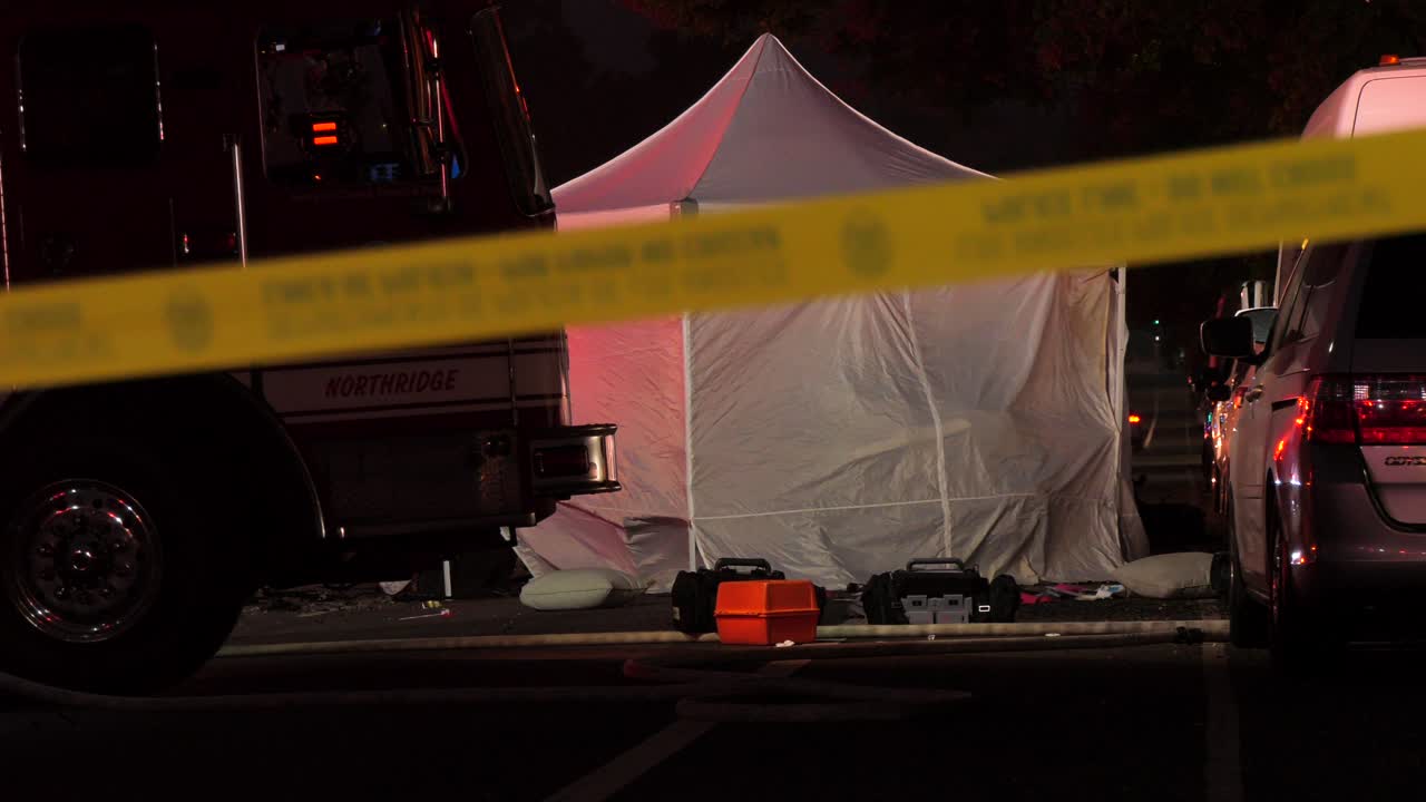 수사관과의 치명적인 교통사고