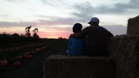 a father and son sit in a farm field at sunset 1