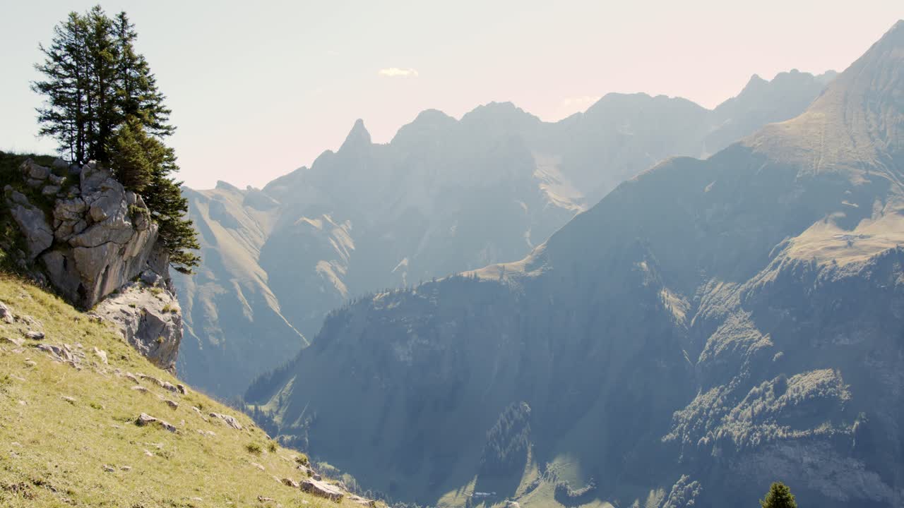 Montagne con alberi su una roccia.