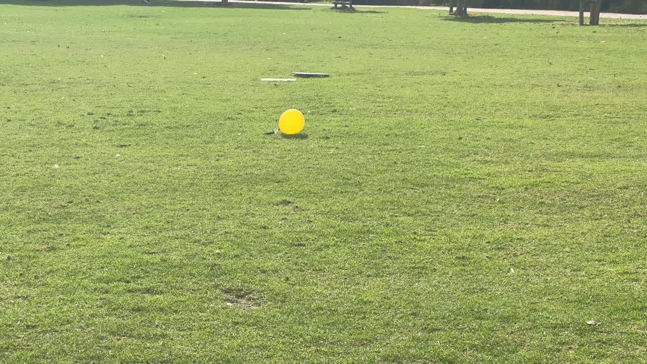 A yellow balloon floats gently in a park in Cape Town, South Africa.