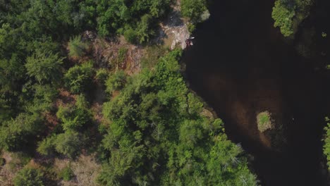 top-down drone river view surrounded by forest and trees at golden hour buckhorn03