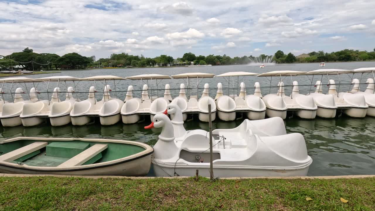 Swan-shaped paddle boats docked by lakeside.