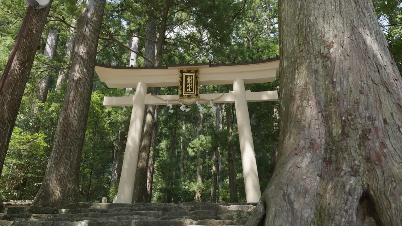 Kumano Nachi Taisha, Wakayama, Japonya’da ormanın içinde, taştan merdivenlerle ulaşılan bir Torii kapısı