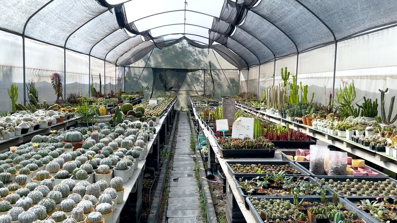 온실 환경에서 티와 식물