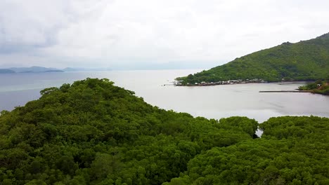 Aerial-view-rising-over-mangrove-forest-peninsula-with-remote-coastal-village-in-Coron-Bay,-Palawan,-Philippines,-Southeast-Asia