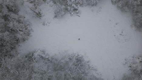 Imágenes-Aéreas-De-Invierno-Brumoso-De-Un-Hombre-Caminando-En-La-Nieve-En-Vacaciones-En-El-Bosque