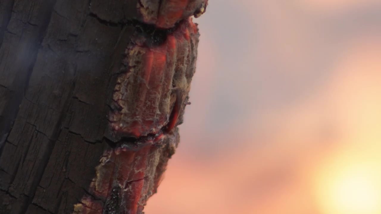 Detailed view of glowing wood ember and charcoal burning. Extreme close up shot of flickering orange heat and textured black wood