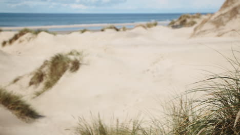 danish atlantic coastline