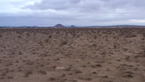 un coyote corriendo en el duro paisaje del desierto de mojave - vista aérea