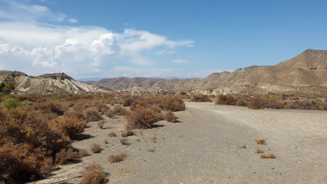 Tabernas-Wüste-Westernfilme-Landschaft,-Almeria