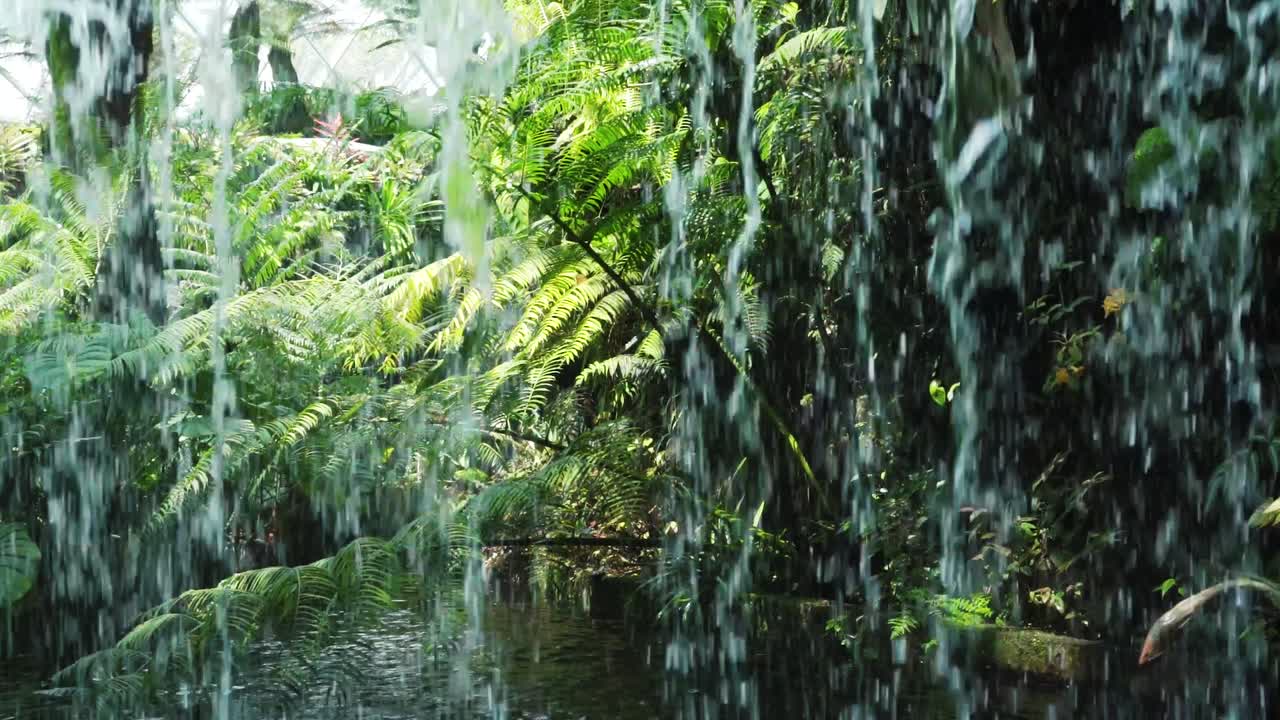 Lush Tropical Waterfall in a Botanical Garden