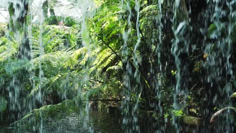 lush tropical waterfall in a botanical garden