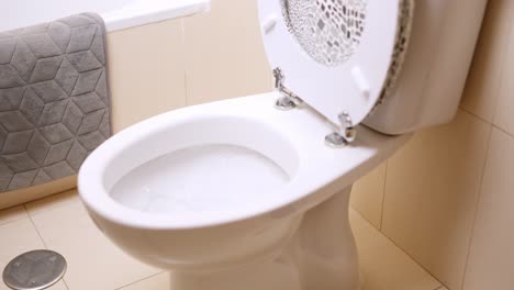 person cleaning toilet with brush in bathroom