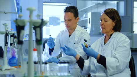 dos científicos experimentando en el laboratorio 4k