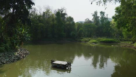 Imágenes-De-Viaje-De-Naturaleza-Cinematográfica-De-4k-De-Un-Lago-En-El-Templo-Budista-De-Wat-Umong-En-Chiang-Mai,-Norte-De-Tailandia-En-Un-Día-Soleado