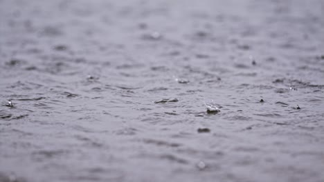 rain drops on a puddle
