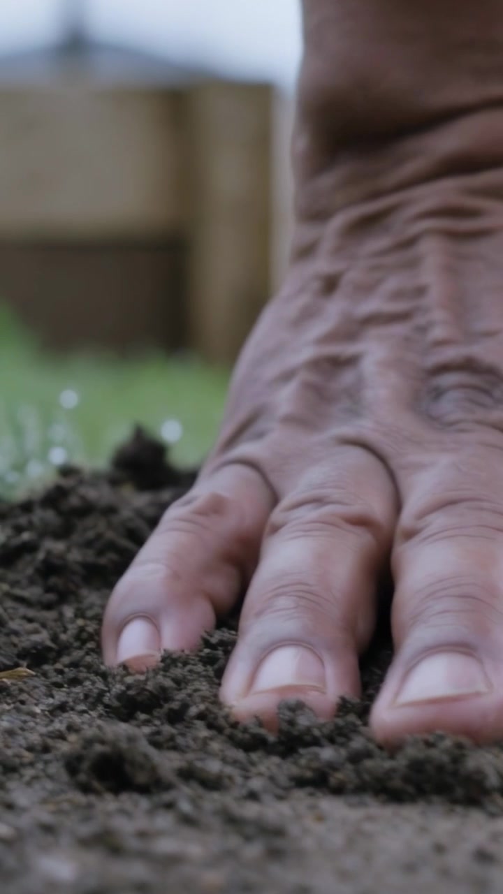 Video verticale: Una mano adulta con la manica che preme e leviga il terreno in un'aiuola per la semina.