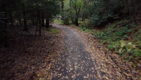 Una-Caminata-A-Lo-Largo-De-Un-Paseo-Por-La-Naturaleza,-Cubierto-De-Hojas,-Sendero-A-Través-De-Un-Hermoso-Bosque-Hasta-Un-Claro-Al-Aire-Libre