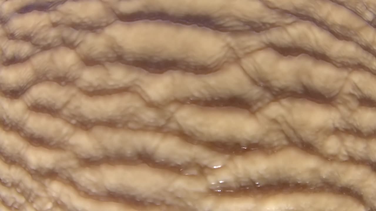 진 웅이 위의 바람