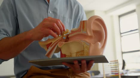 caucasian male teacher holding anatomical model in classroom at school 4k