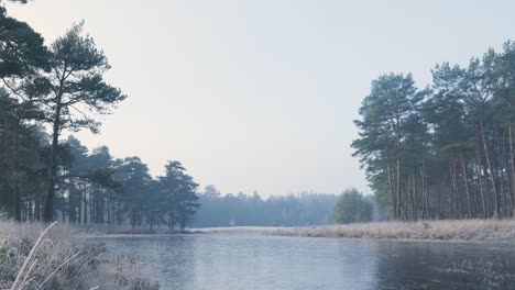 frozen winter forest river landscape