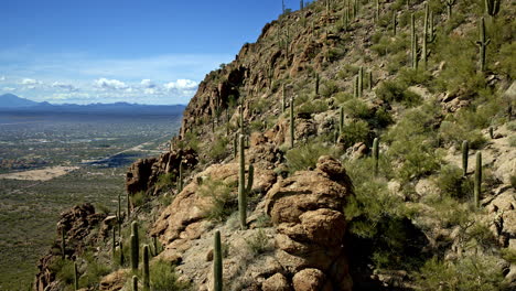 drone shot of cacti covered mountain with tucson arizona in the distance, flying along edge of mountain