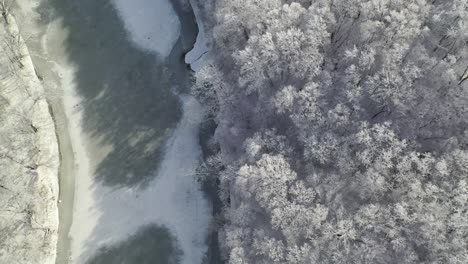 vista aérea río congelado y bosque cubierto de nieve, de arriba hacia abajo