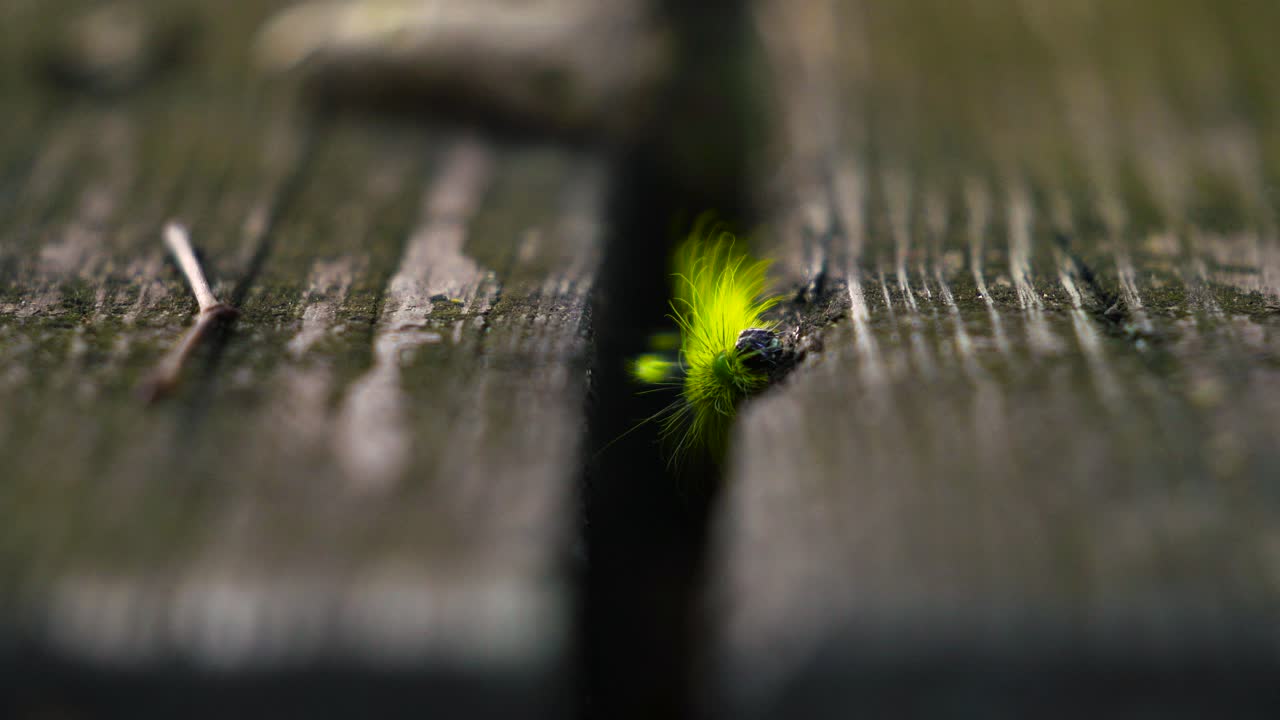 Caterpillar doing his best cliffhanger impression