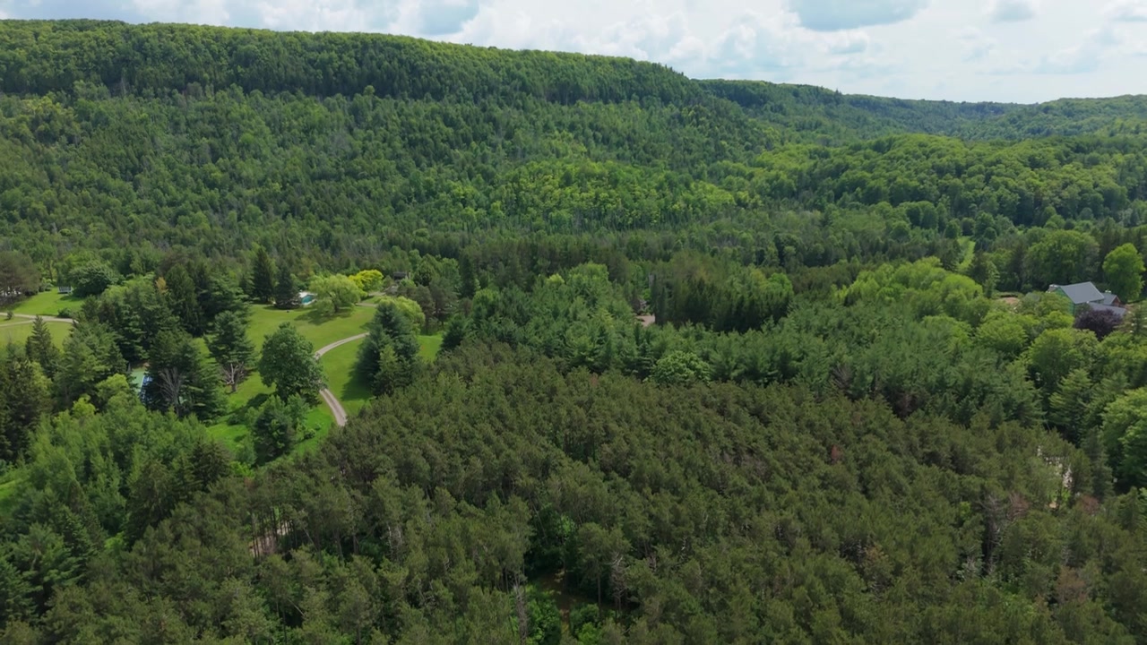 Denso bosque de verano y fincas rurales escondidas en Forks Of The Credit mientras un dron se desliza sobre colinas verdes ondulantes.