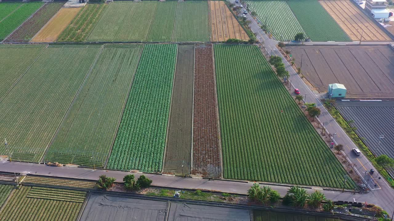 광활한 농경지 위를 날아다니는 공중의 조류의 시선은 그림 같은 시골 풍경을 포착하고, 시골의 아름다움을 보여주는 특이한 시골 도로에서 교통이 모이는 것을 포착합니다.