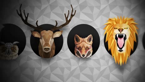 collection of different animals. zoo symbol. low polygon icons. lion, gorilla, zebra, raccoon, fox, elephant, deer, owl. geometric loop animation set.