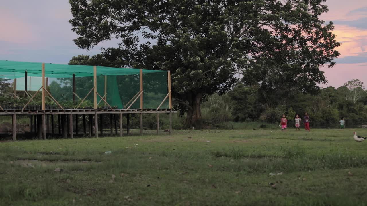 niños jugando en un invernadero en la selva peruana