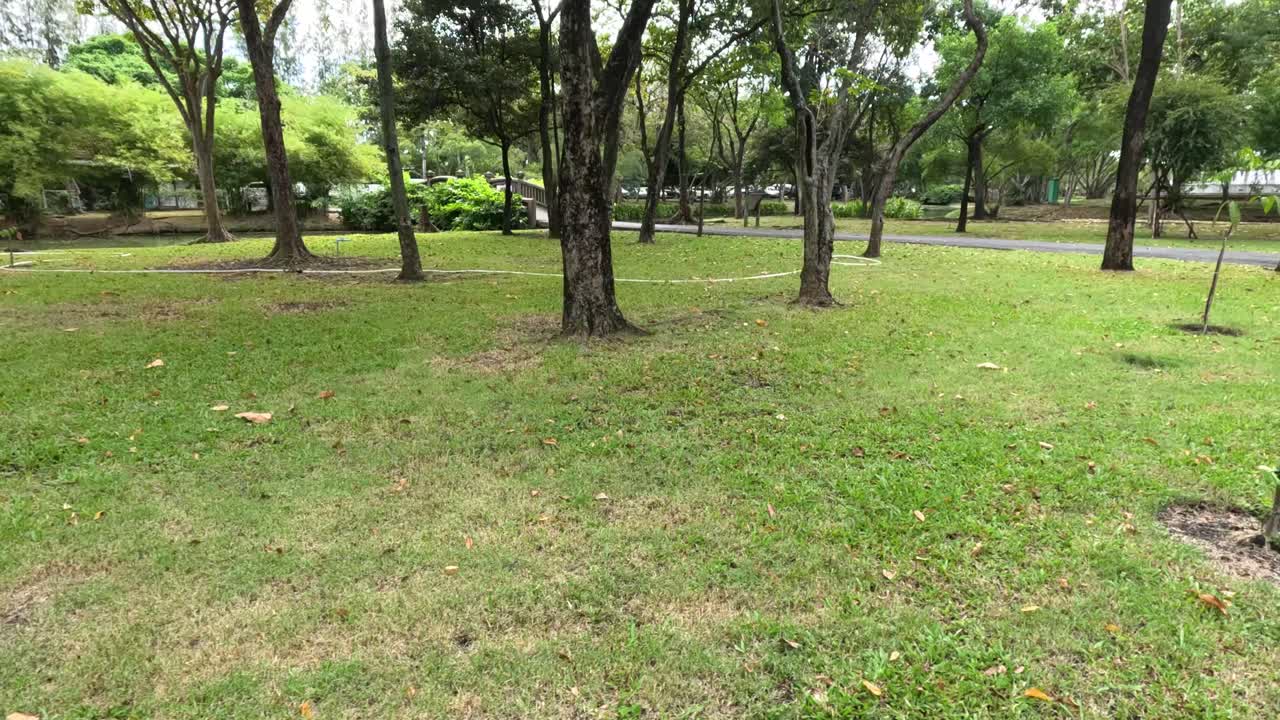 푸른 공원을 가로질러 평화롭게 산책합니다.