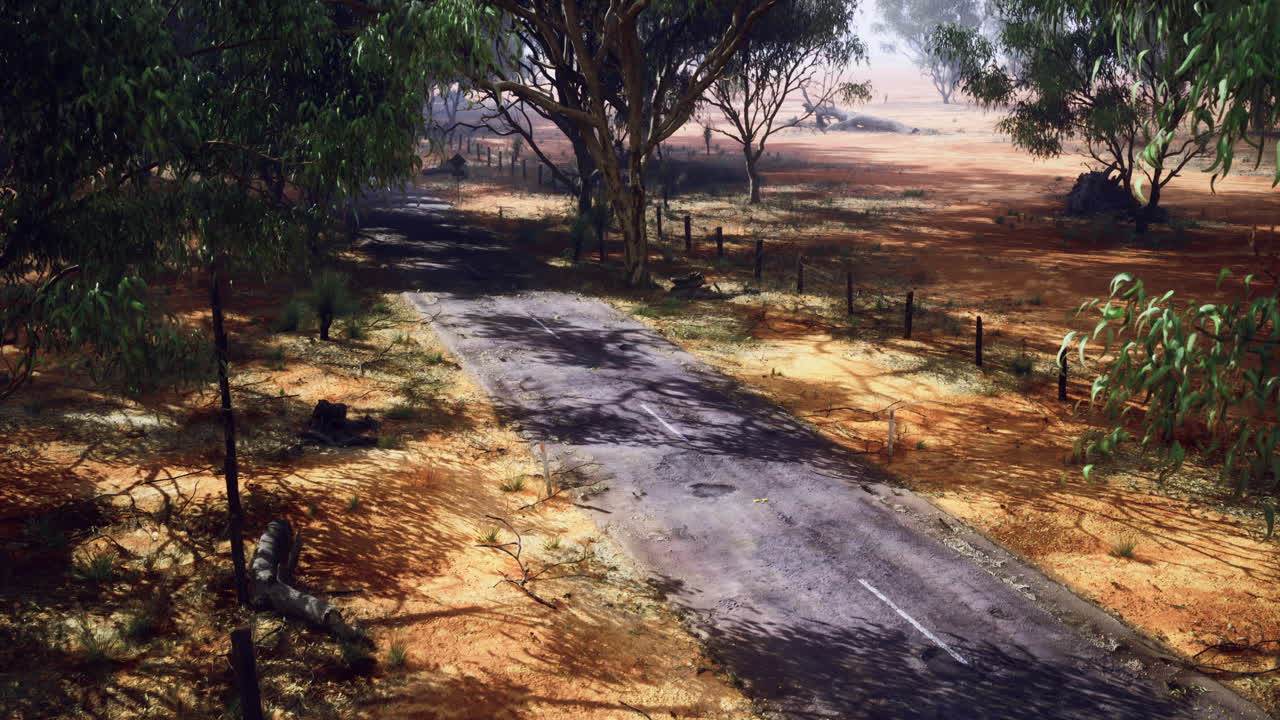 Desert road under trees leading to a distant landscape in the afternoon