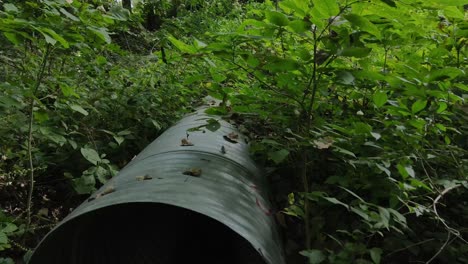 vuelo a una tubería de drenaje en un barranco