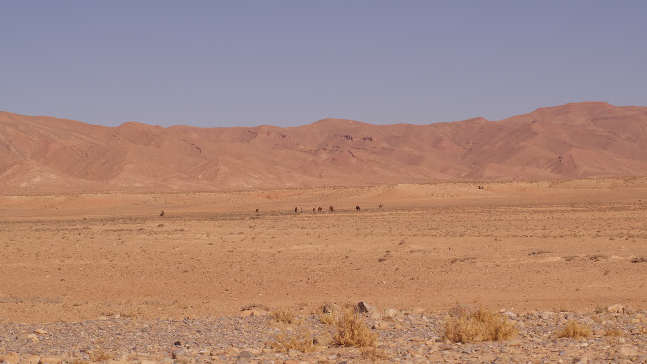 모로코의 사막 풍경과 뒷면에 드로메다리