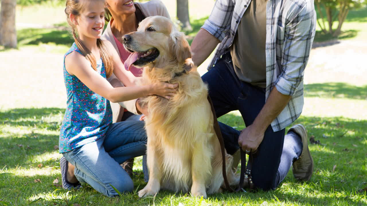 padres caucásicos felices y su hija acariciando a su perro mascota golden retriever en el parque