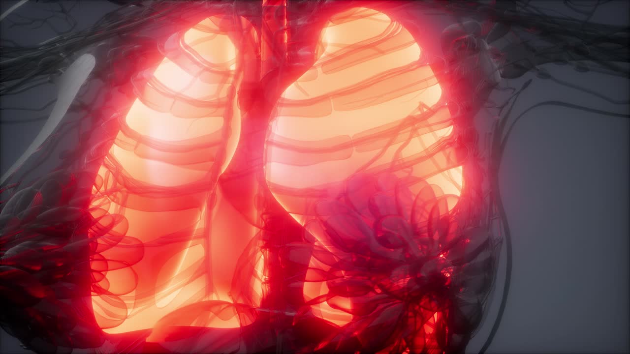 examen radiológico de los pulmones humanos