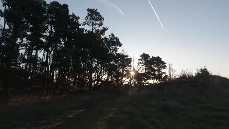 Slow-Motion-Sunrise-Flare-Through-Trees-with-Contrail-in-Sky