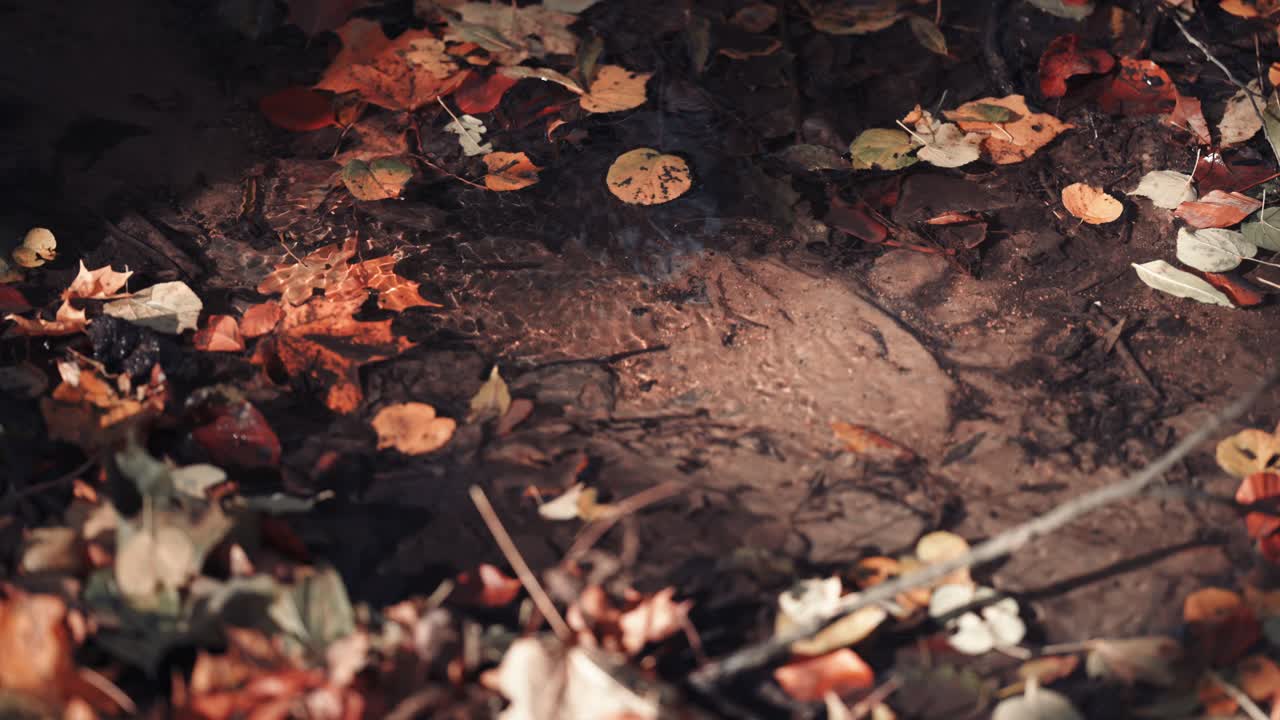 A close-up of the small shallow stream with a sandy bottom