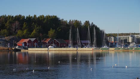 sandefjord strömstad marina sailboats coastal seaside town stromstad sweden sverige ferry boat ride norge scandinavia arctic golden hour sunset coastline oslofjord clear blue skies