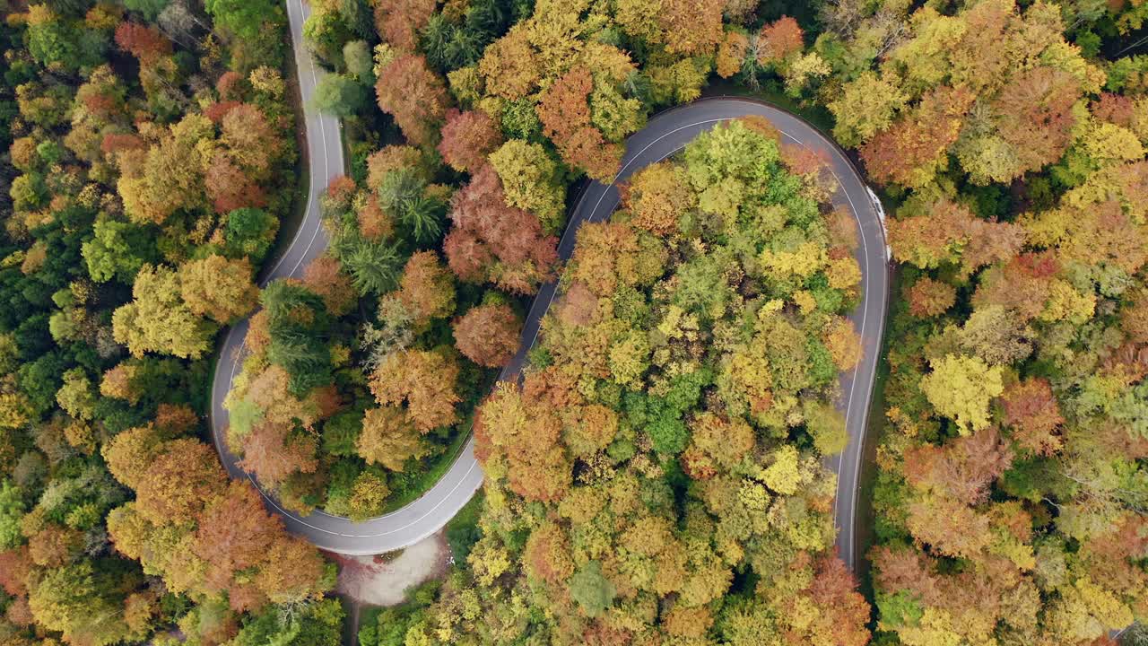 Colorful curvy road as an aerial top shot