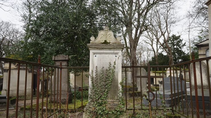 Lapide in un cimitero con piante rampicanti