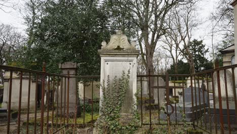 -Headstone-at-grave-yard-with-vines-growing