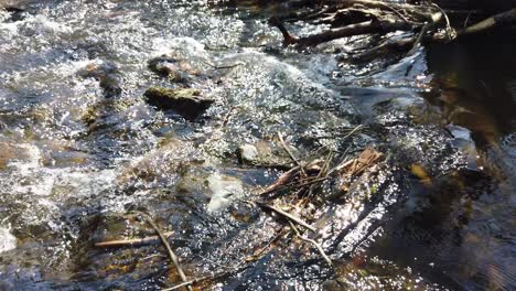 river flowing with pieces of trash in it