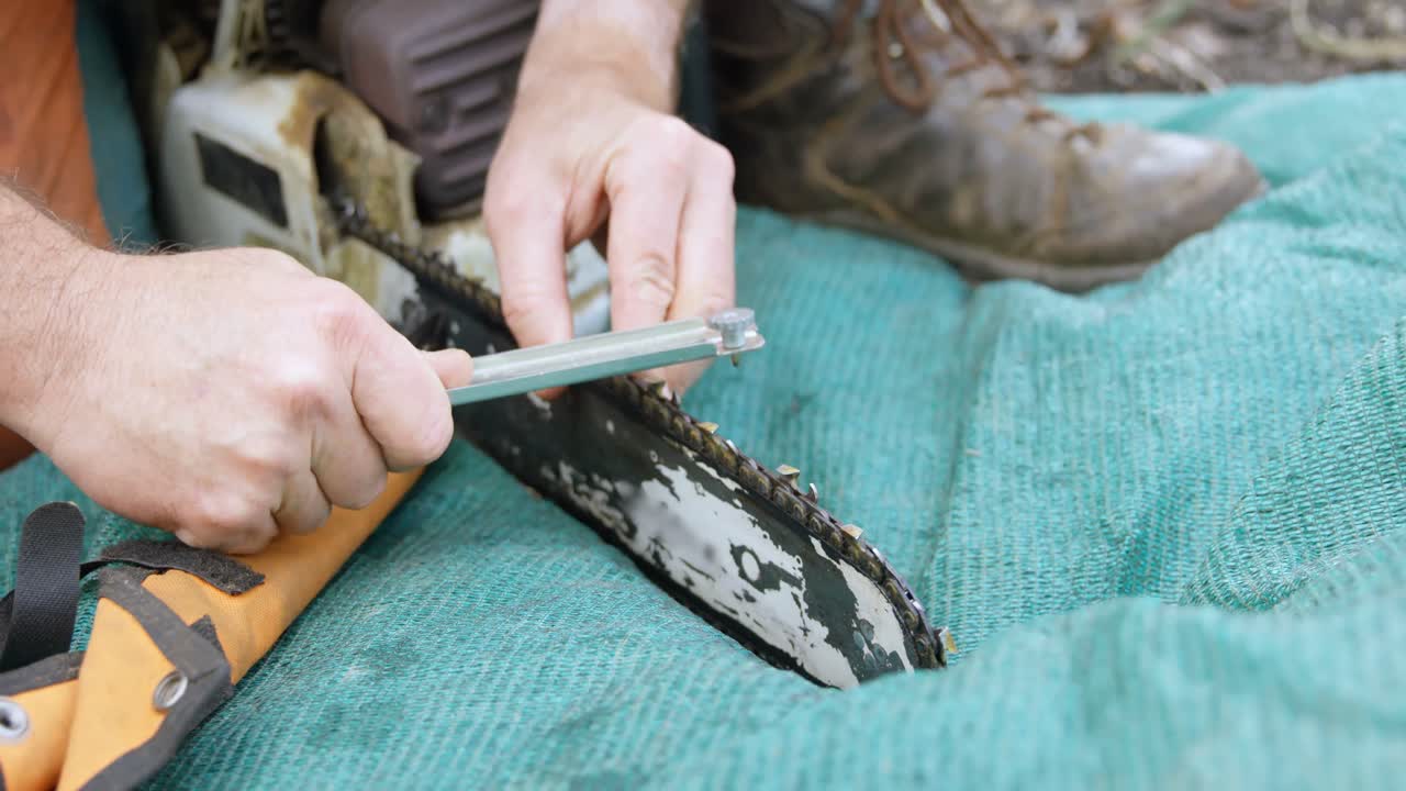 leñador cortando árbol caído en el bosque 4k