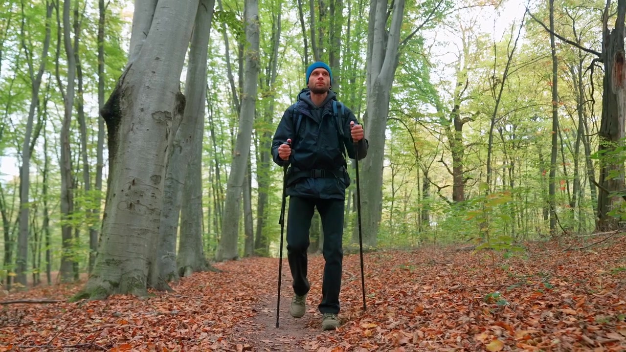 Uomo che fa escursioni in una foresta autunnale con bastoncini da trekking.