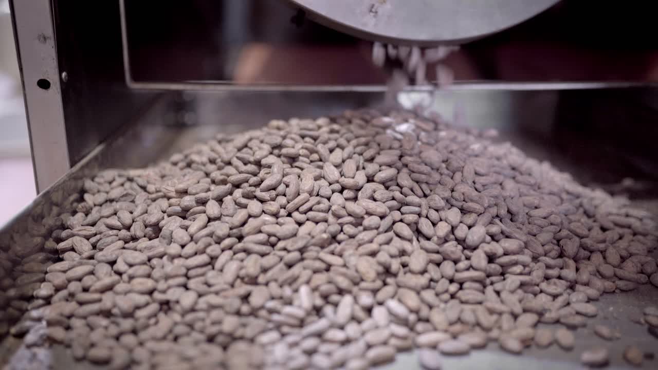 로스팅 기계의 드럼에 구운 카카오 콩