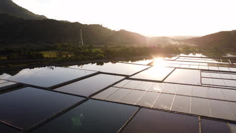 breathtaking aerial flight over flooded sal fields with mountains and golden sunset in background - vietnam,asia