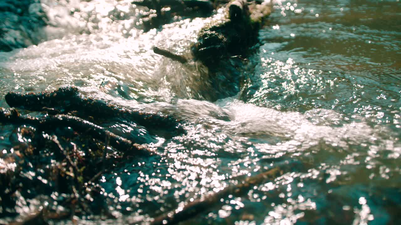Nature- view of water stream flowing on rocks and the fallen wood log